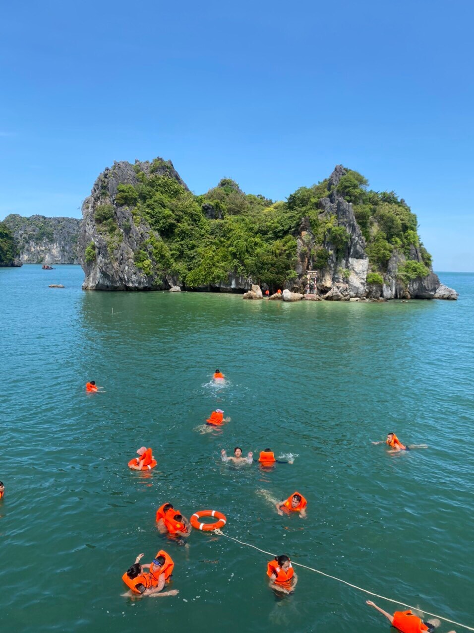bơi 1